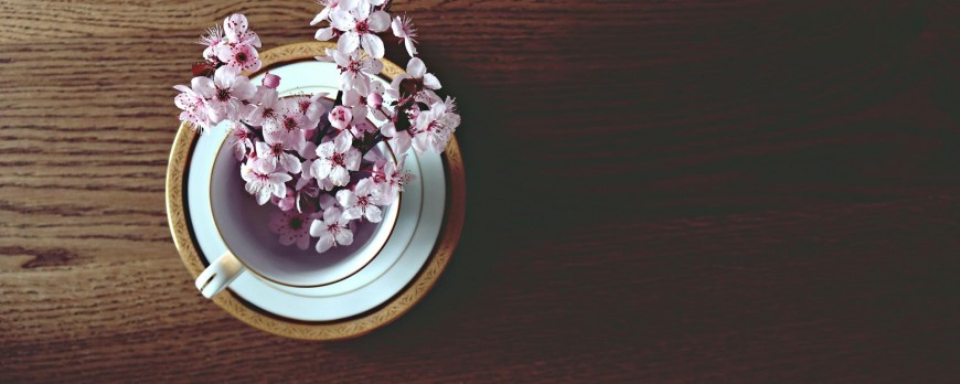 Quel thé de printemps pour fêter la nouvelle saison?